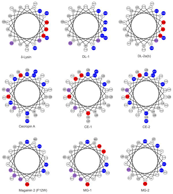 FIGURE 2