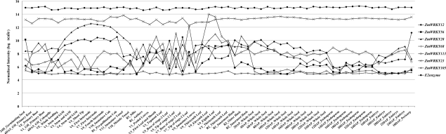 Figure 5.