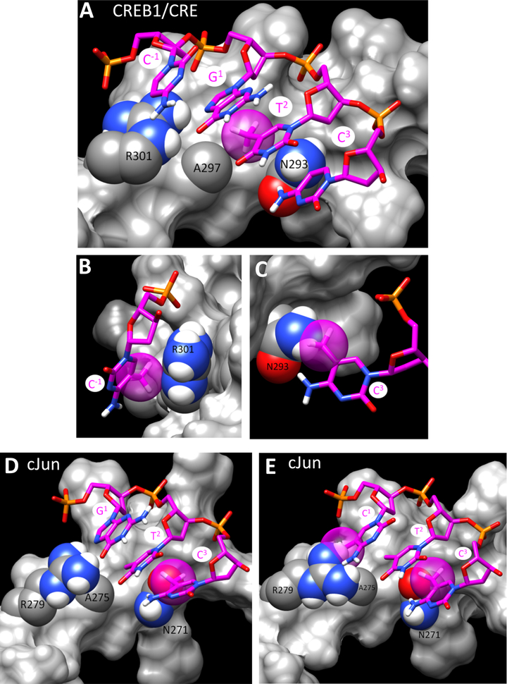 Figure 3.