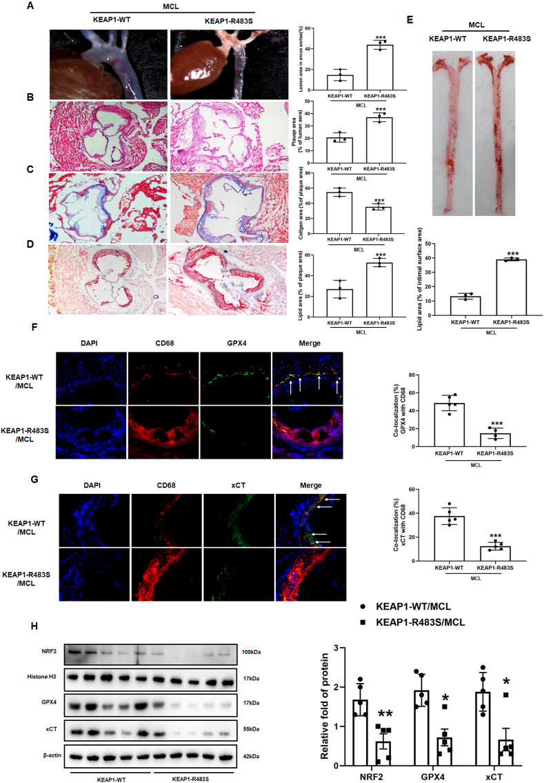 Fig. 11