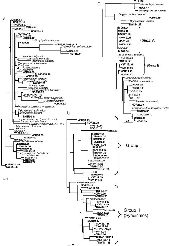 FIG.5.