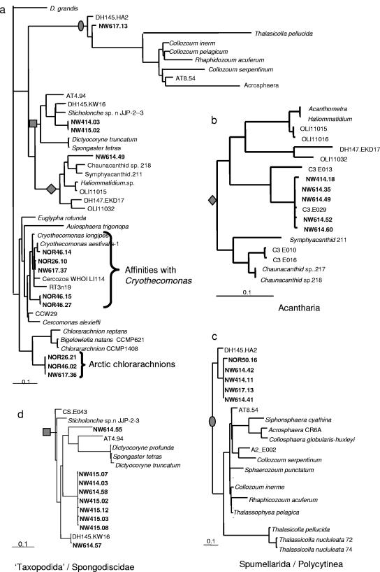 FIG. 6.