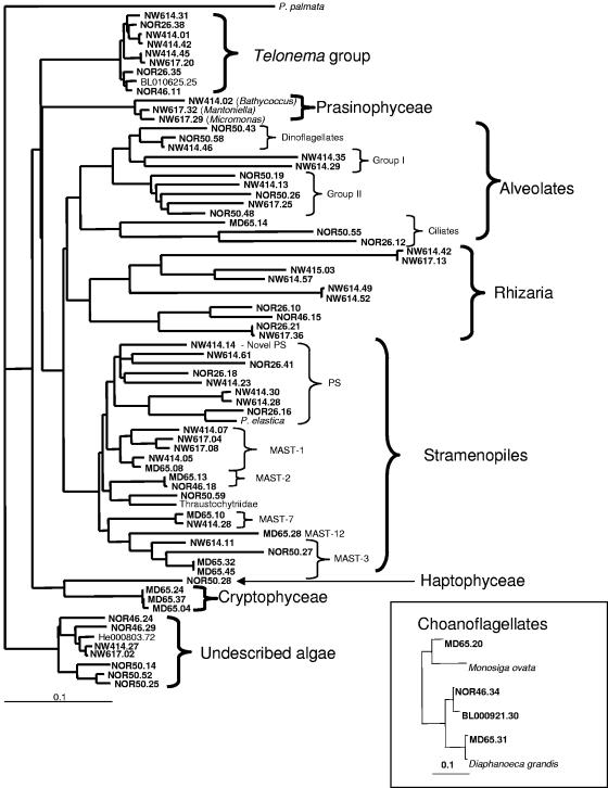 FIG. 3.