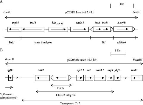 FIG. 2.