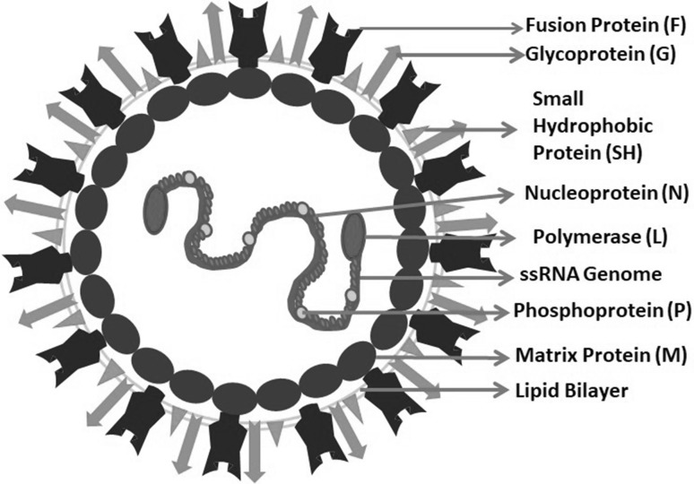 Fig. 2