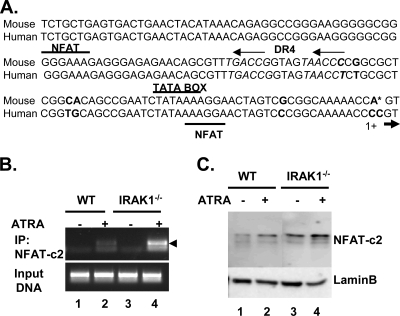 FIG. 4.