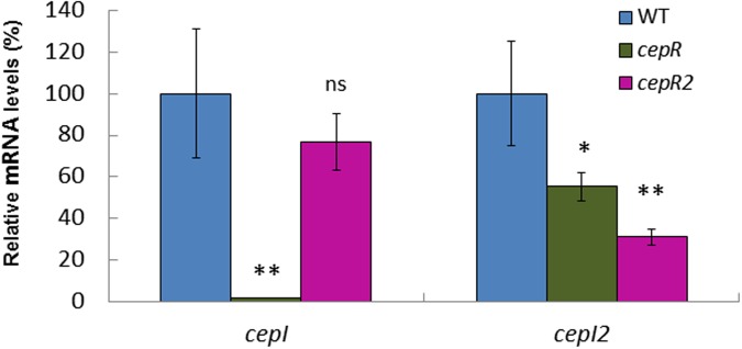 FIGURE 3