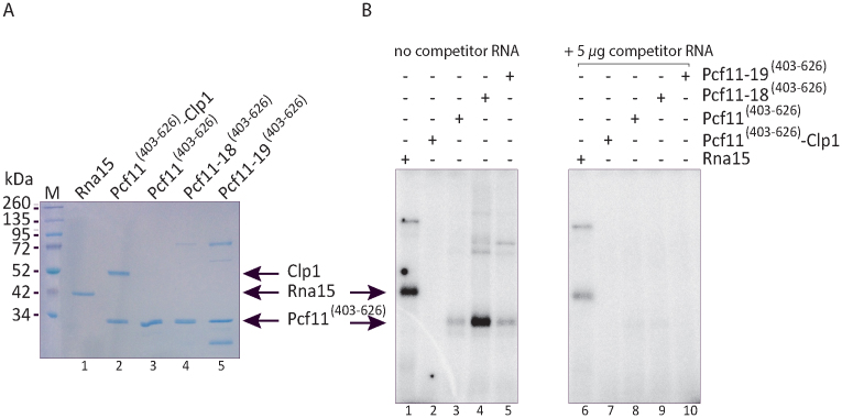 Figure 9.