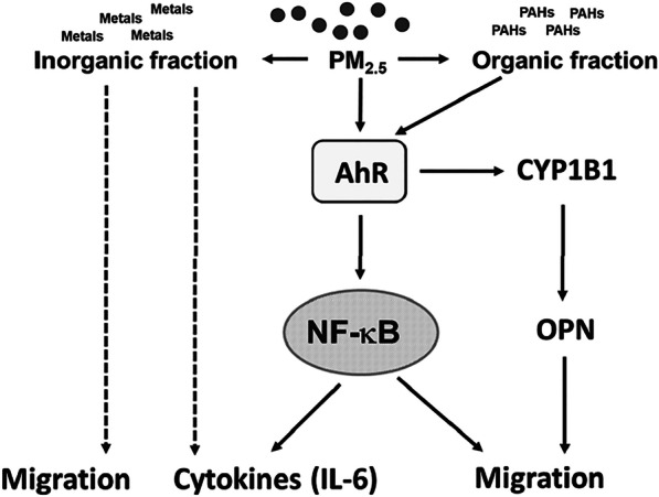 Fig. 8