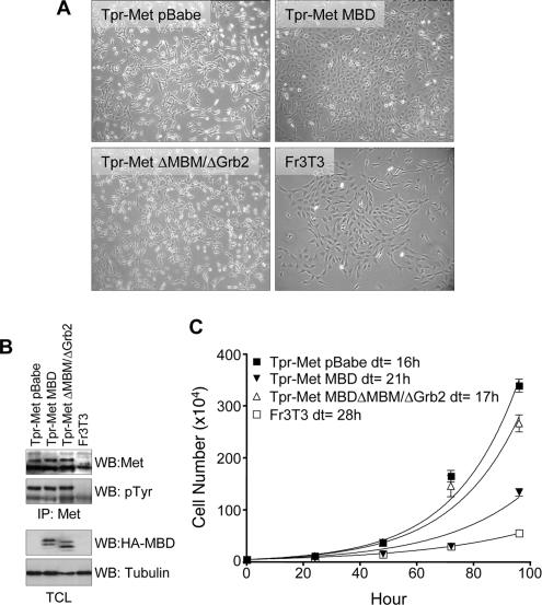 Figure 9.