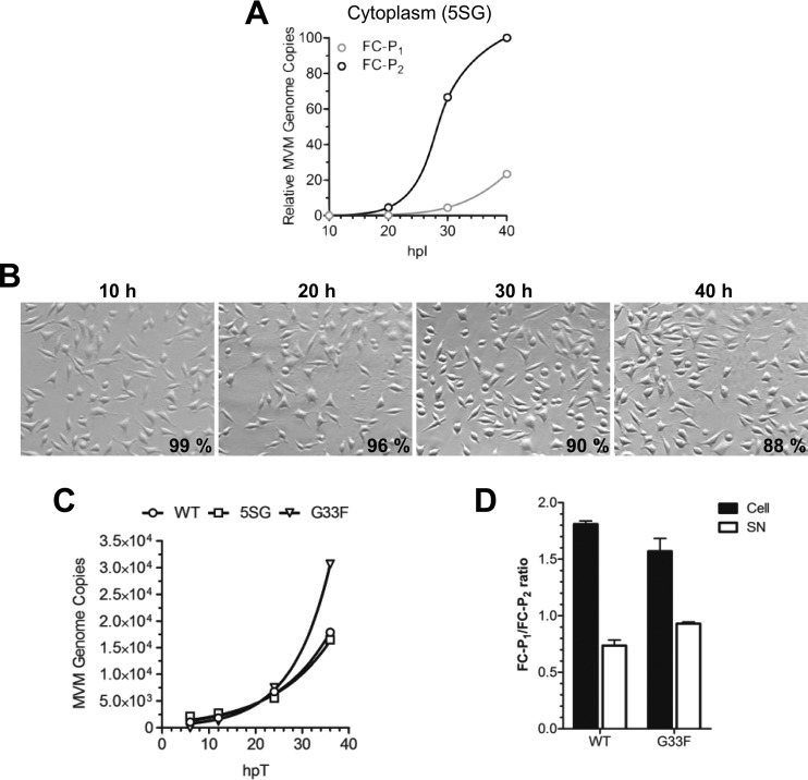 FIG 6