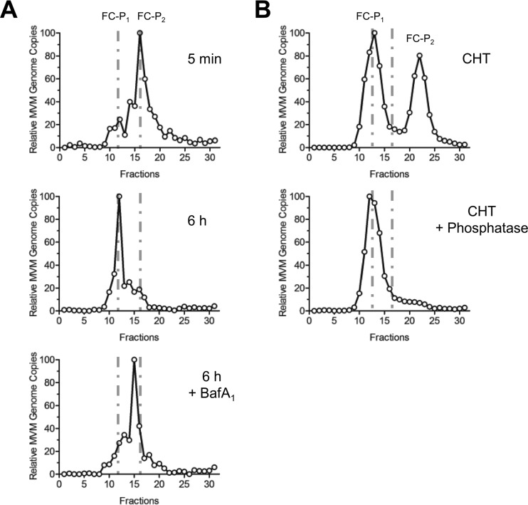 FIG 7