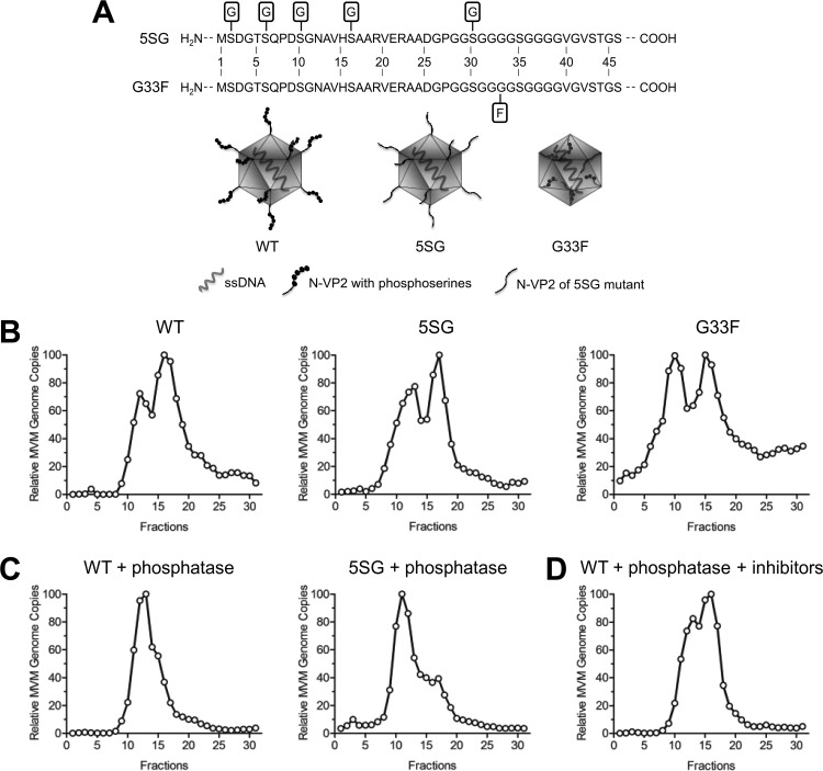 FIG 3