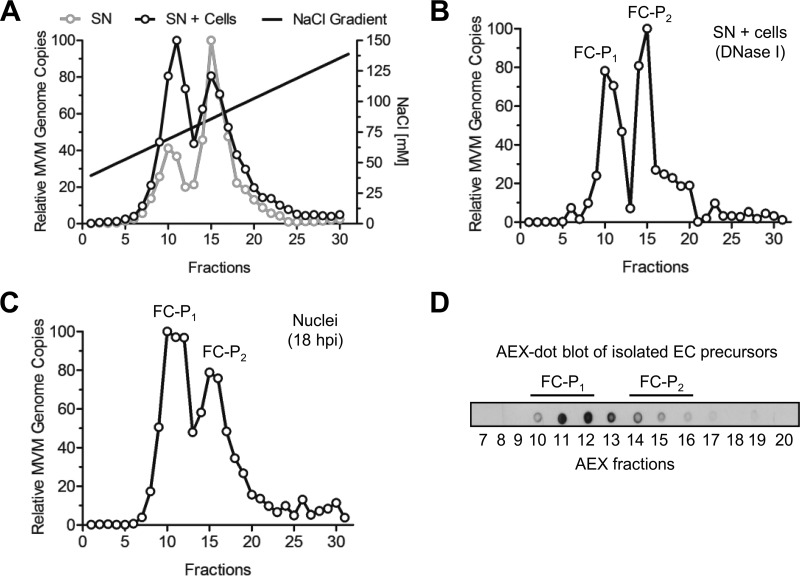 FIG 1