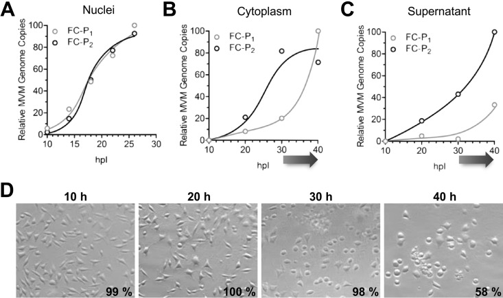 FIG 4