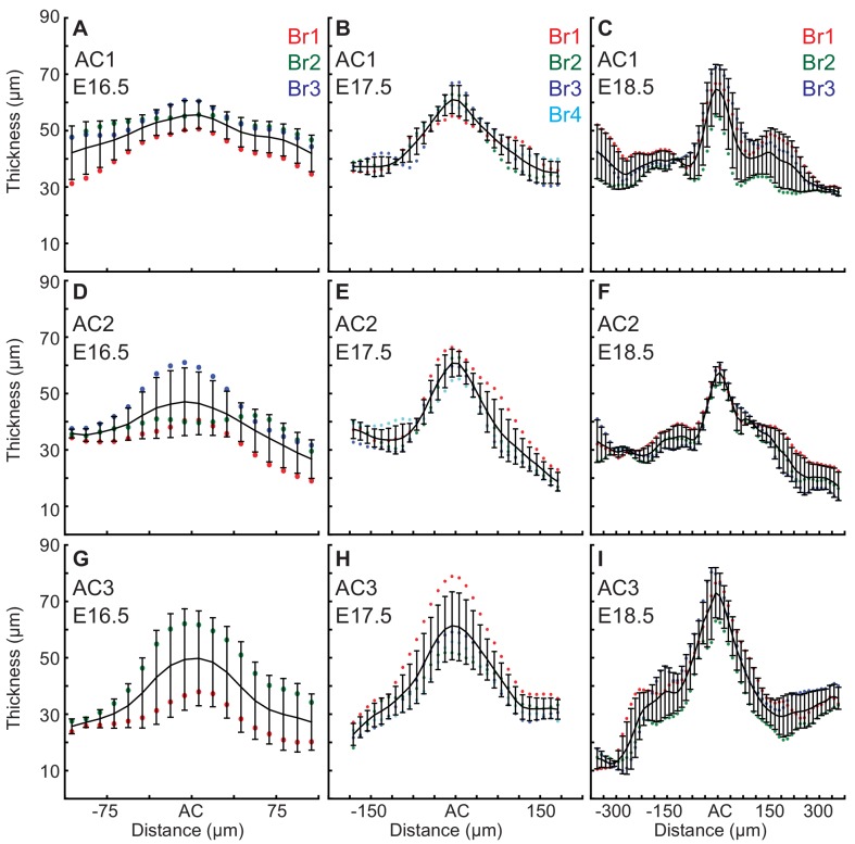 Figure 2—figure supplement 3.