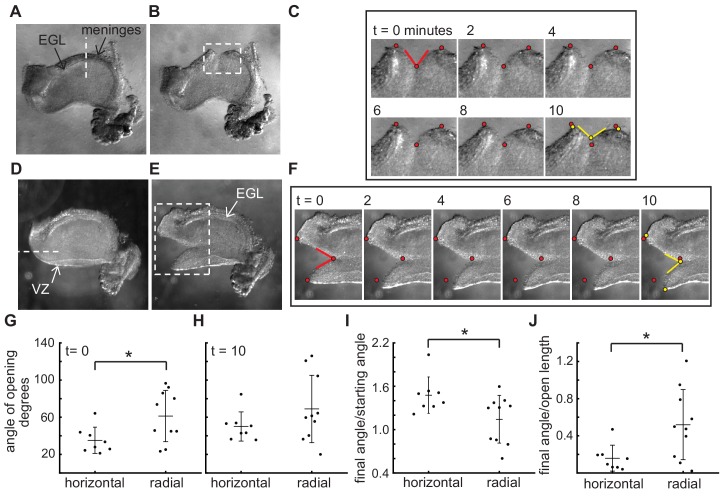 Figure 2—figure supplement 2.