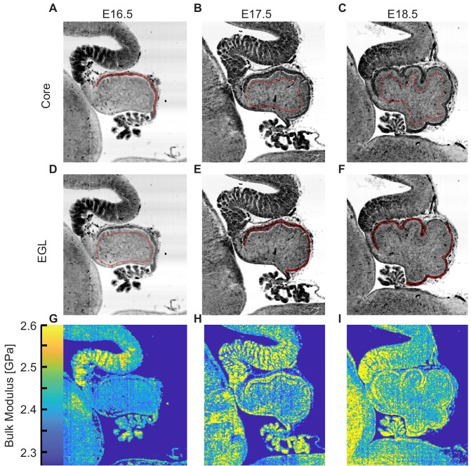 Figure 2—figure supplement 1.