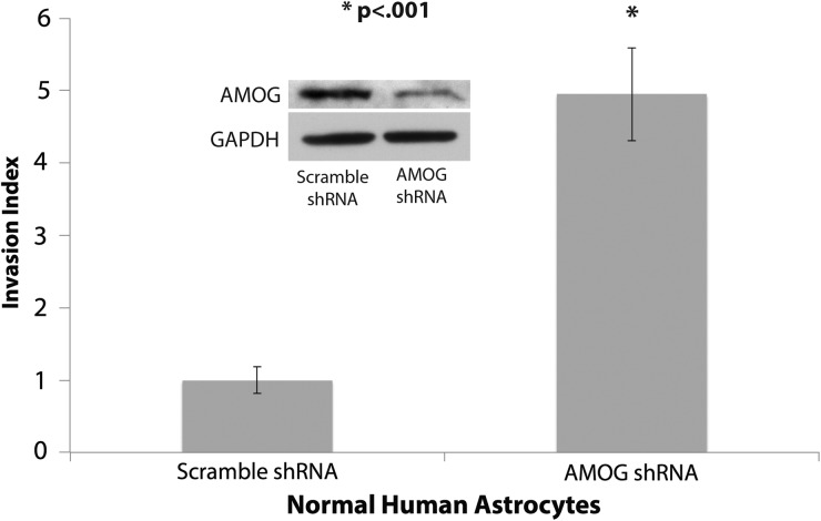 Fig. 6.