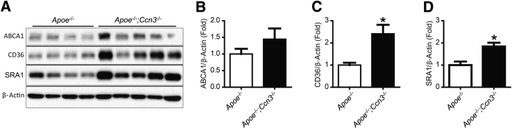 Figure 4