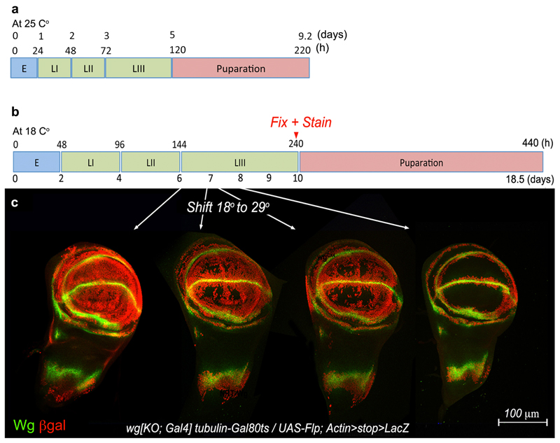 Extended Data Figure 3