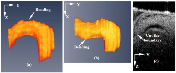 Fig. 9