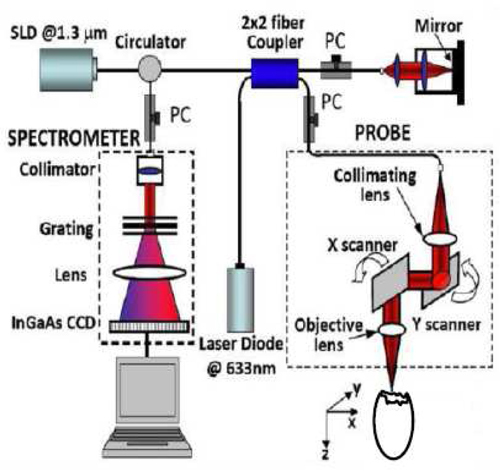 Fig. 1