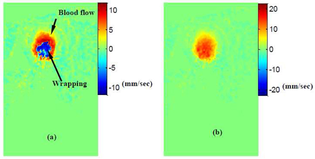 Fig. 10