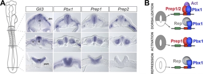 Fig. 6.