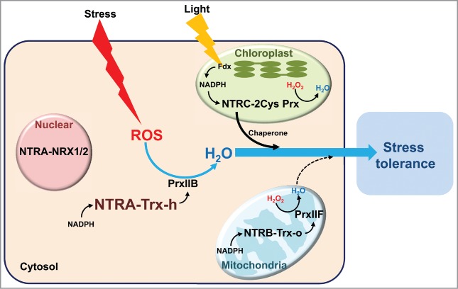 Figure 1.