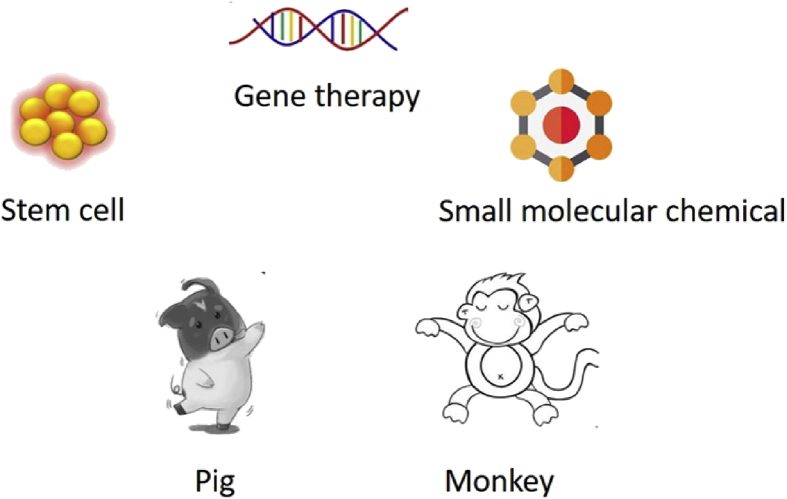 Fig. 1