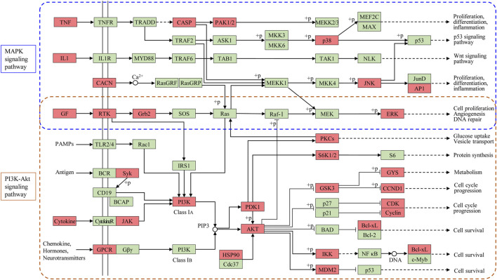 FIGURE 11