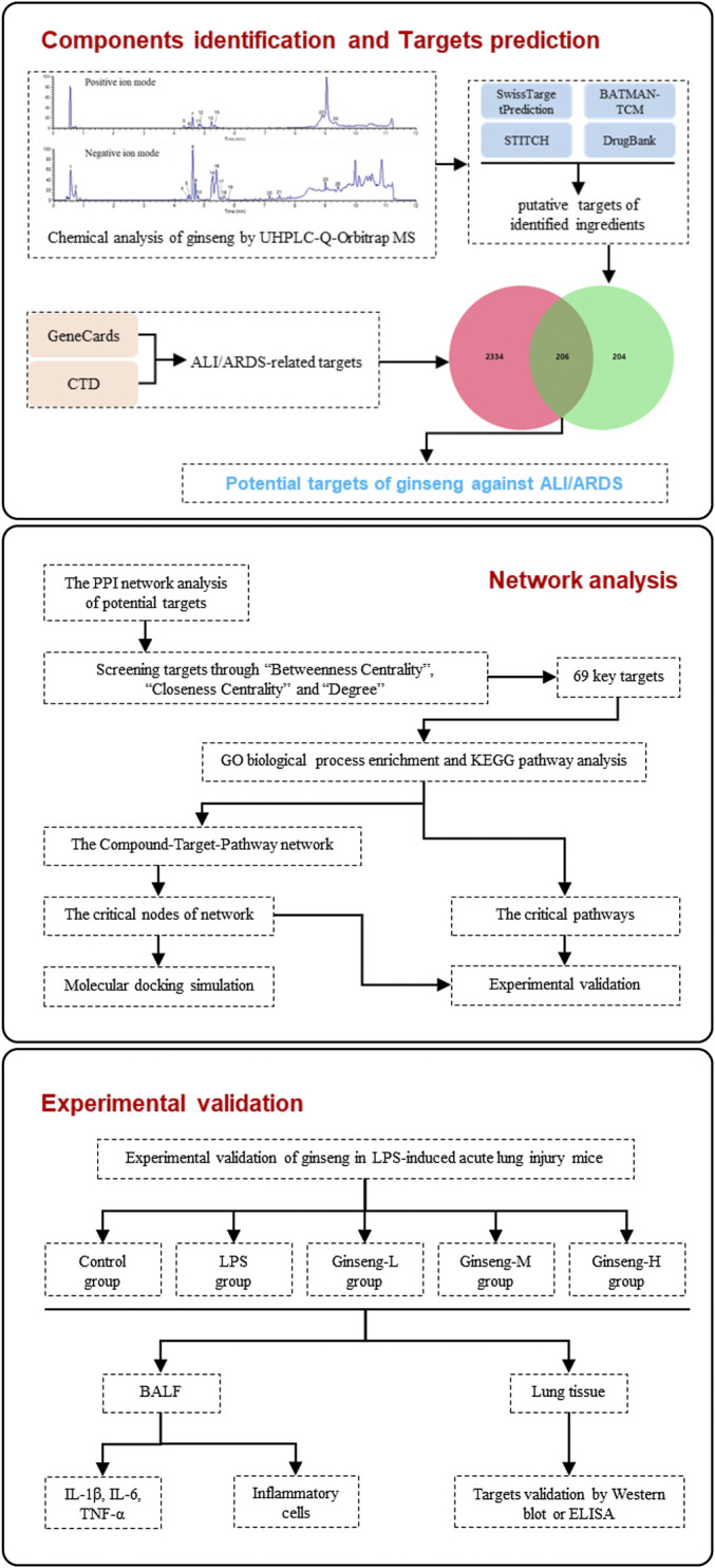 FIGURE 1