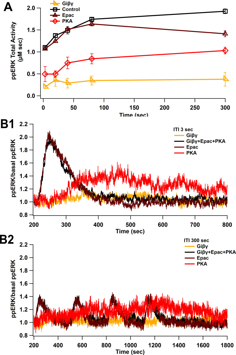 Figure 6—figure supplement 1.