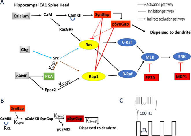 Figure 1.