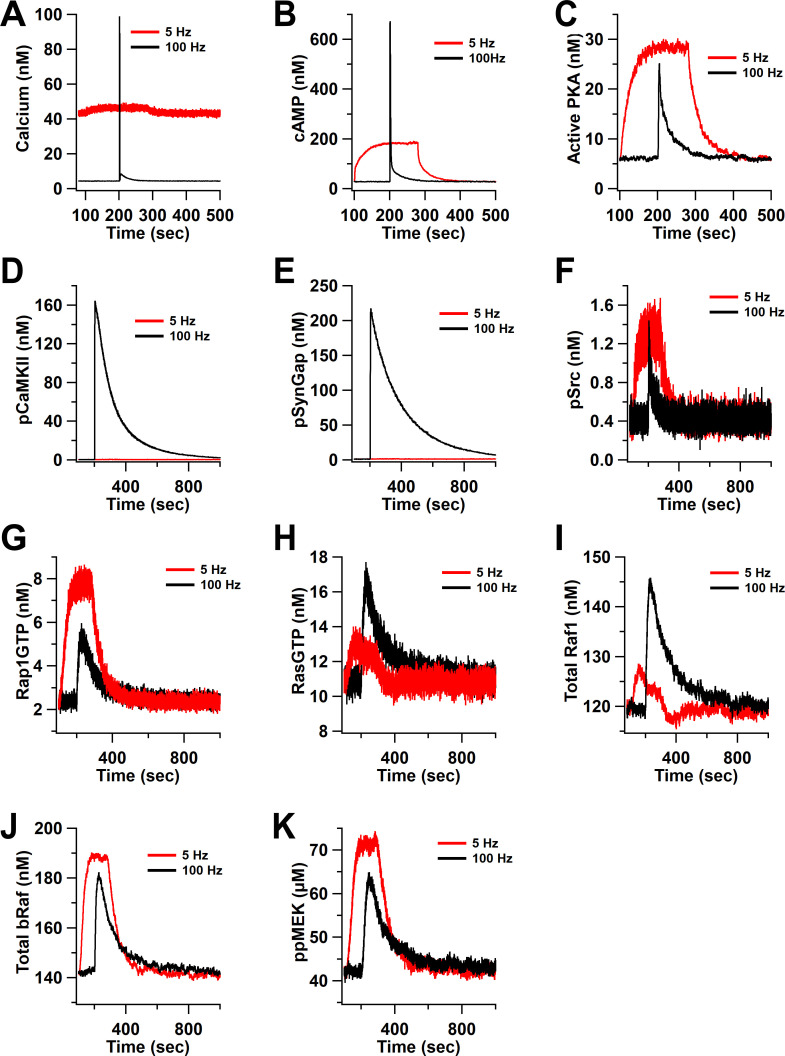 Figure 9—figure supplement 1.