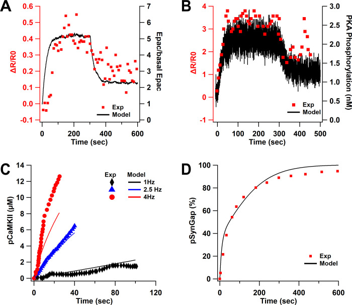 Figure 2—figure supplement 1.