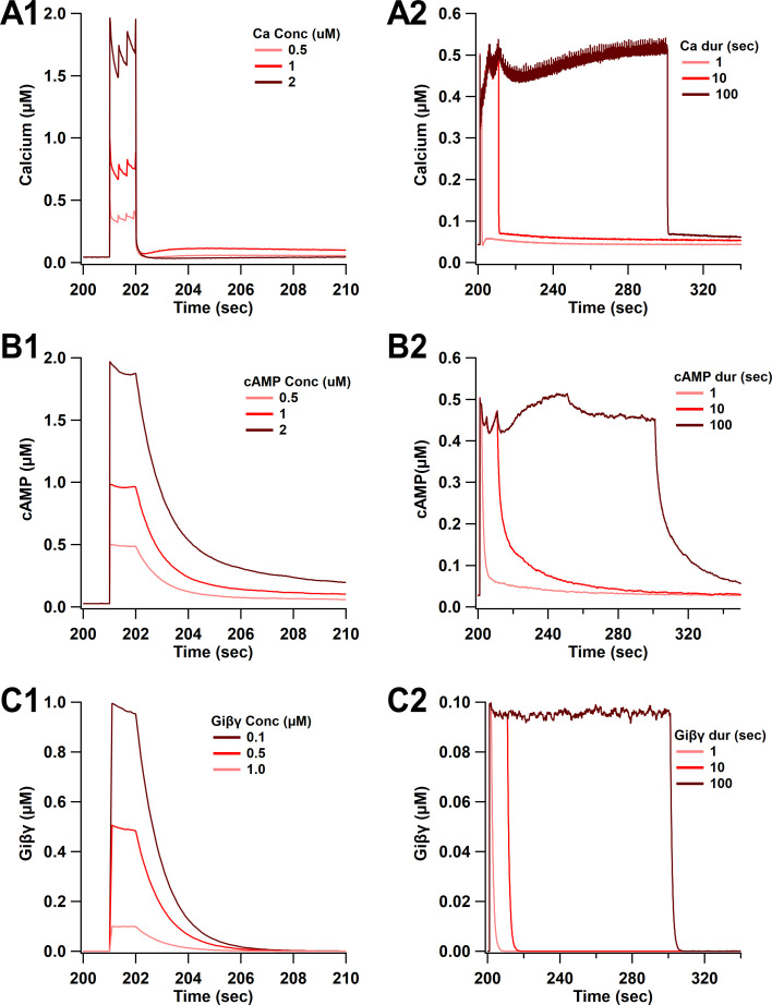 Figure 3—figure supplement 1.