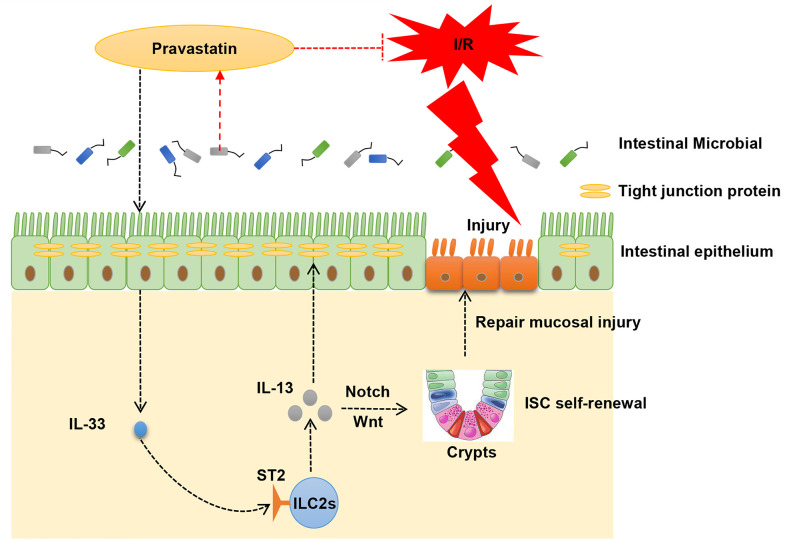 Graphical Abstract