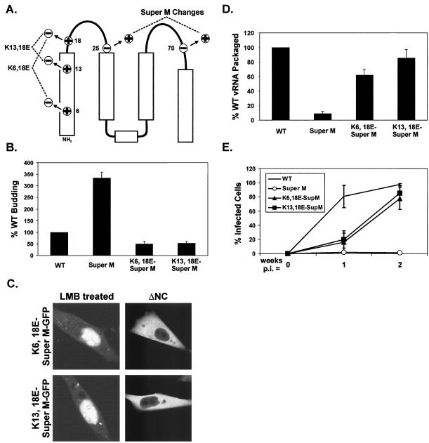 FIG. 6.