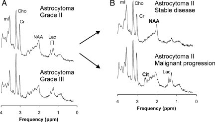 Fig. 1.