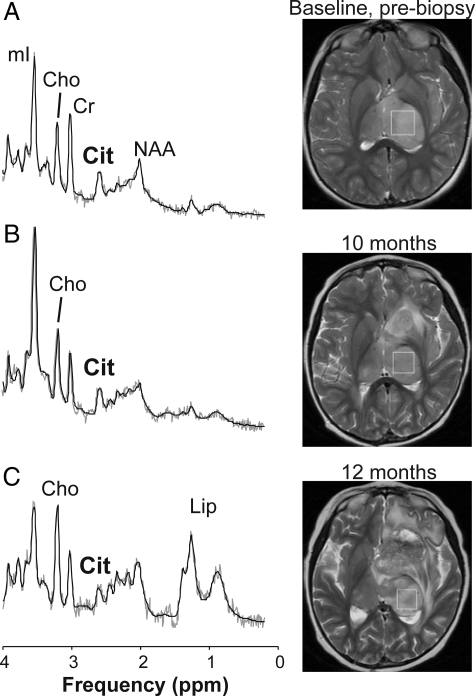 Fig. 3.