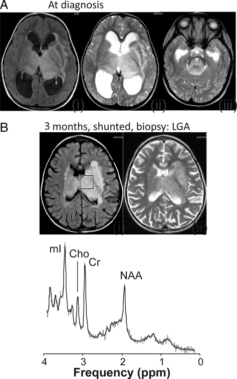 Fig. 2.