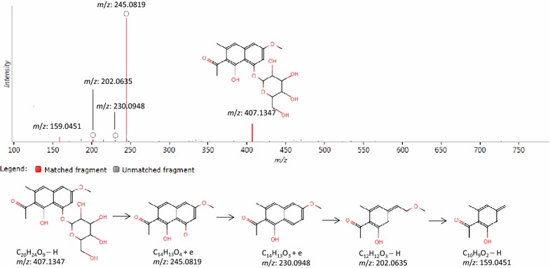 Fig. 4