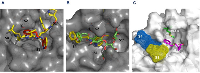 Figure 4