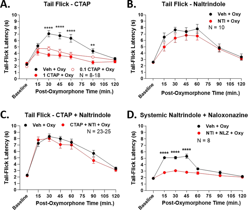 Figure 2: