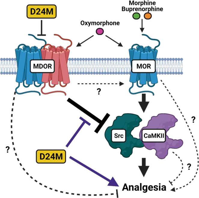 Figure 9: