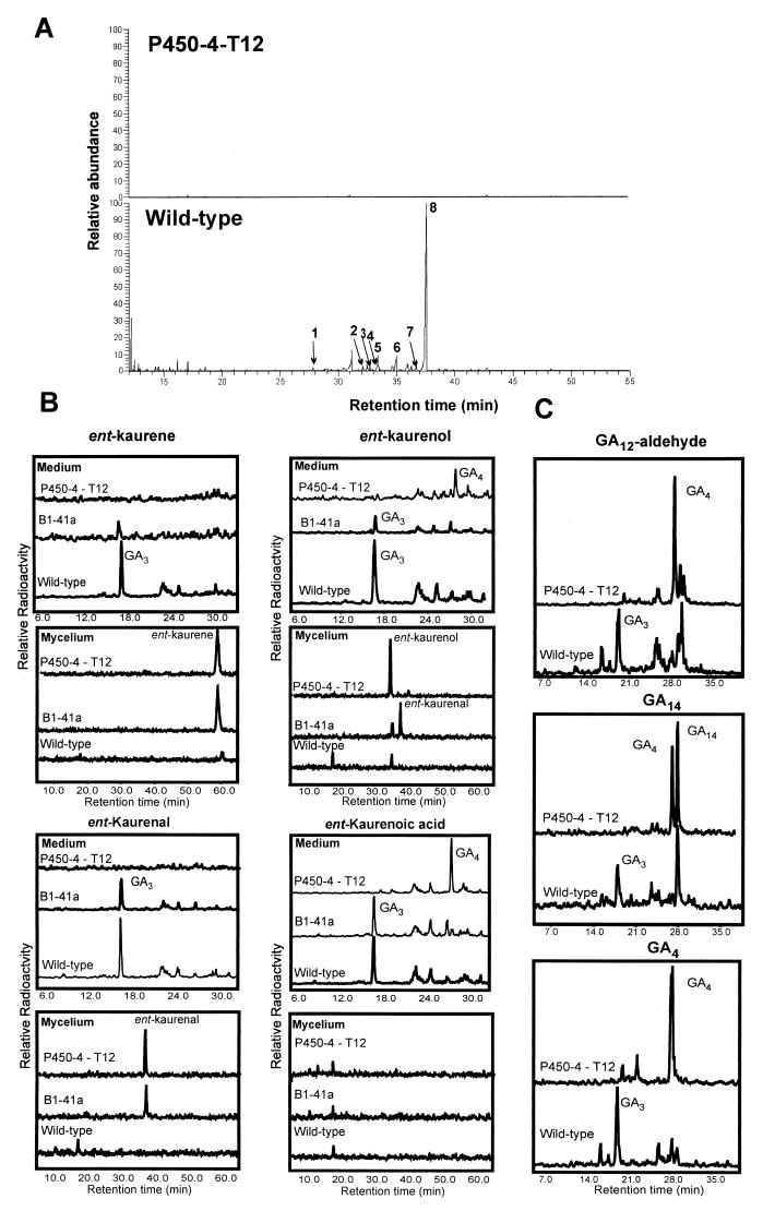 FIG. 6