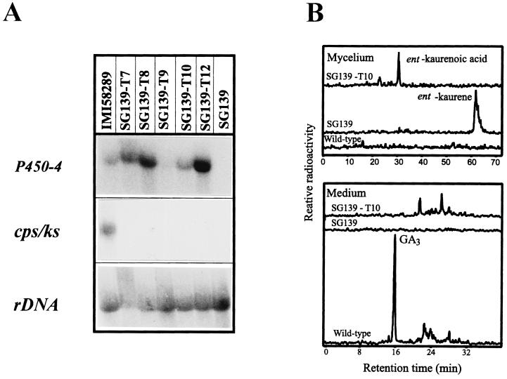 FIG. 7