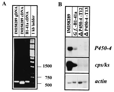 FIG. 8